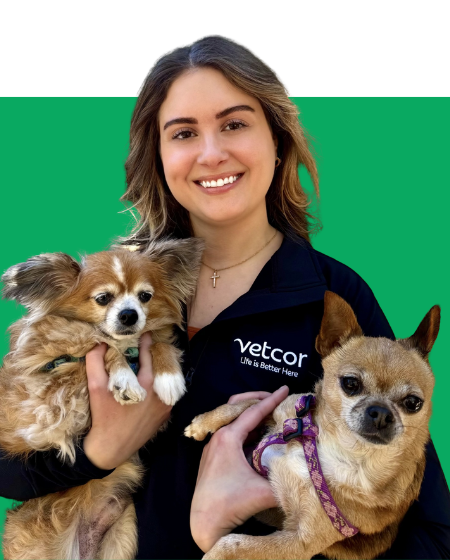 Alexis Delle Donne, Talent Acquisition Manager