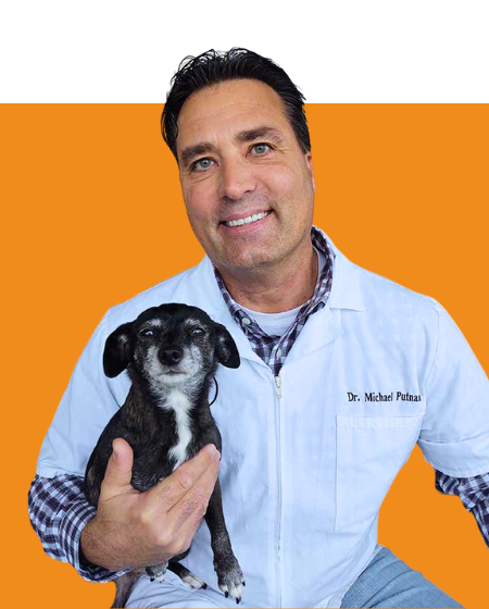 Dr. Michael Putnam, Chief of Staff Advisor