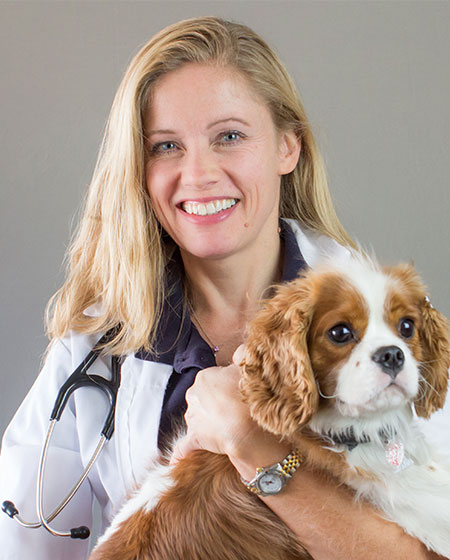 Dr. Sara Mey, Vice President Veterinary Leadership