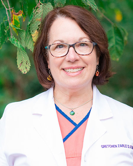 Dr. Gretchen Zarle