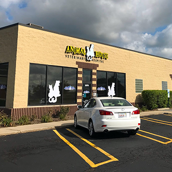 Congratulations on your well-deserved win, Animal House!