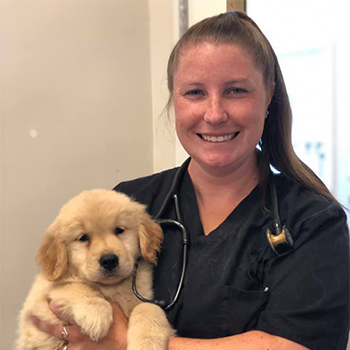 fah vet student missy dog 