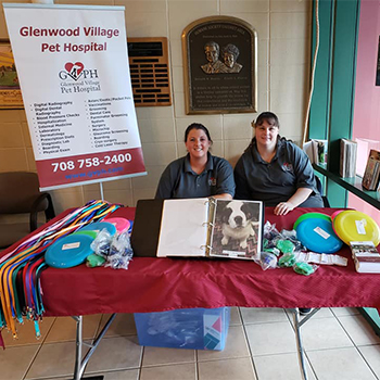 glenwood village pet hospital 