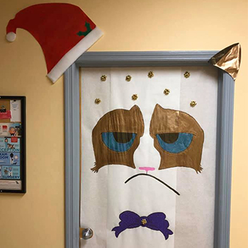 grumpy cat door 