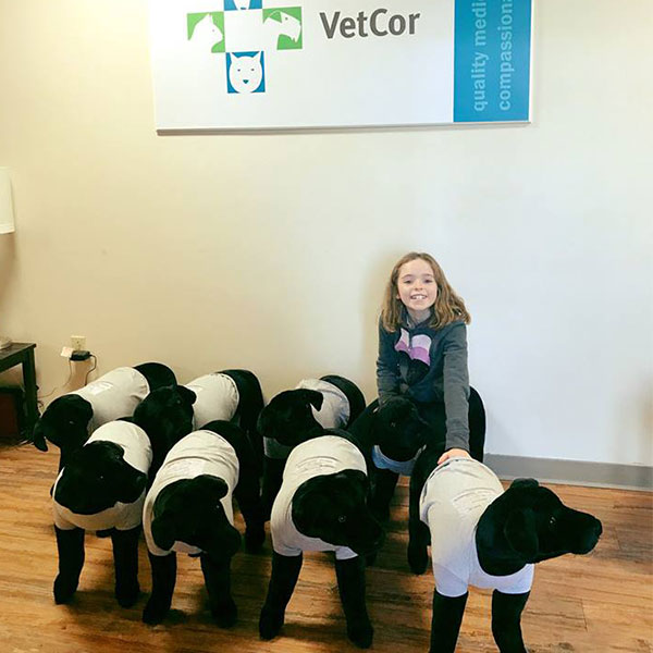 Hadley with Stuffed Dogs