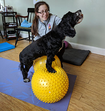 Veterinary Technician, Leah Senecal, working with a canine friend