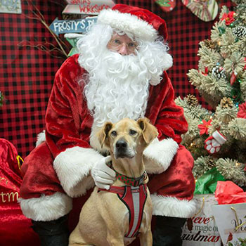 Santa with a canine friend