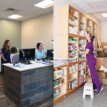 Champlain Valley Veterinary Services and Falmouth Animal Hospital's new locations